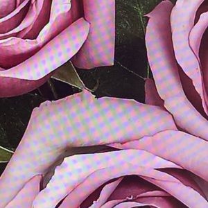 For @cutesykatttttt ❤️